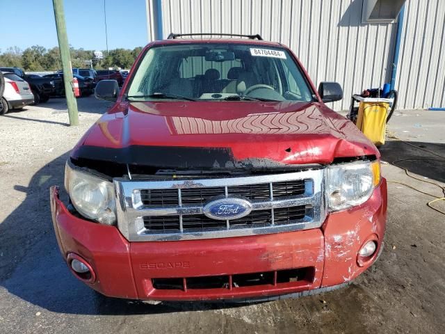 2008 Ford Escape XLT