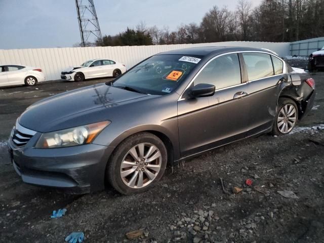 2011 Honda Accord EXL