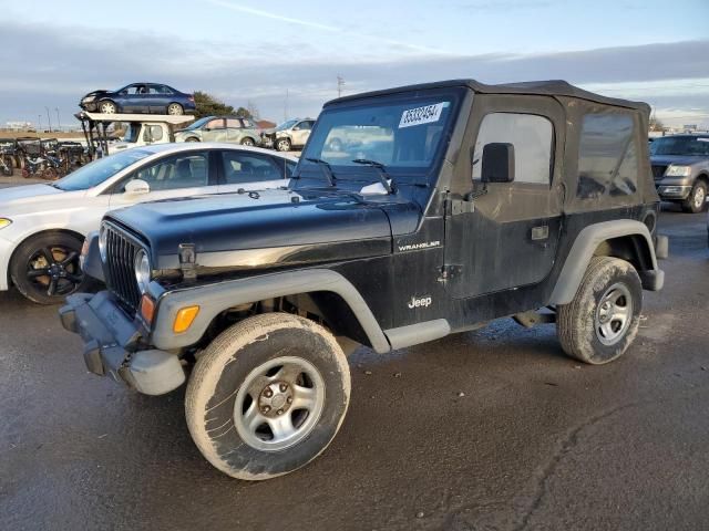 2002 Jeep Wrangler / TJ X