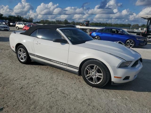 2010 Ford Mustang