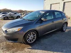 2016 Ford Focus SE en venta en Memphis, TN