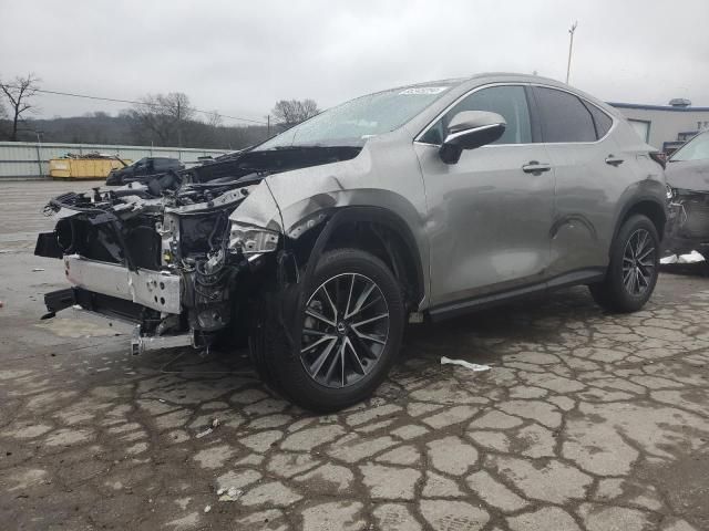 2025 Lexus NX 250 Premium