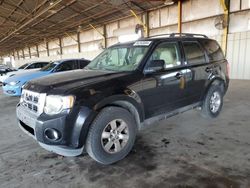 2009 Ford Escape Limited en venta en Phoenix, AZ