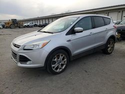 2013 Ford Escape SEL en venta en Louisville, KY