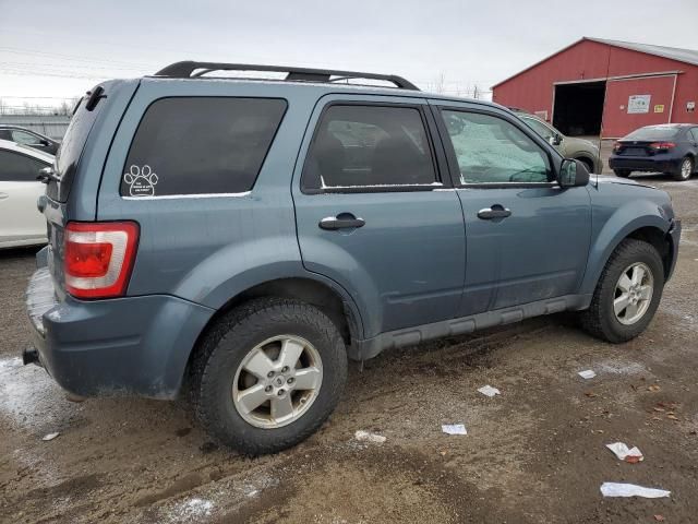 2011 Ford Escape XLT