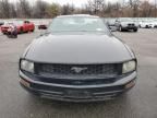 2005 Ford Mustang