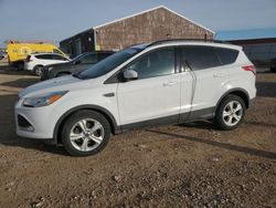 2016 Ford Escape SE en venta en Rapid City, SD