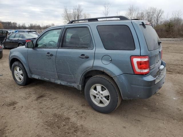 2010 Ford Escape XLT