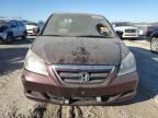 2007 Honda Odyssey EXL