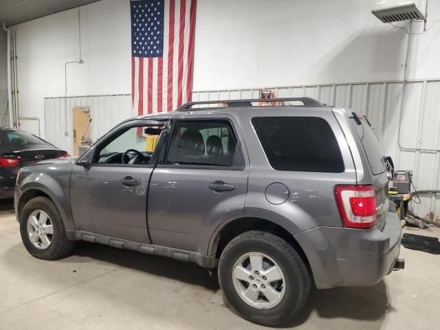 2009 Ford Escape XLT