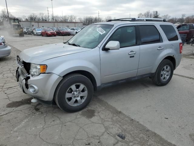 2011 Ford Escape Limited