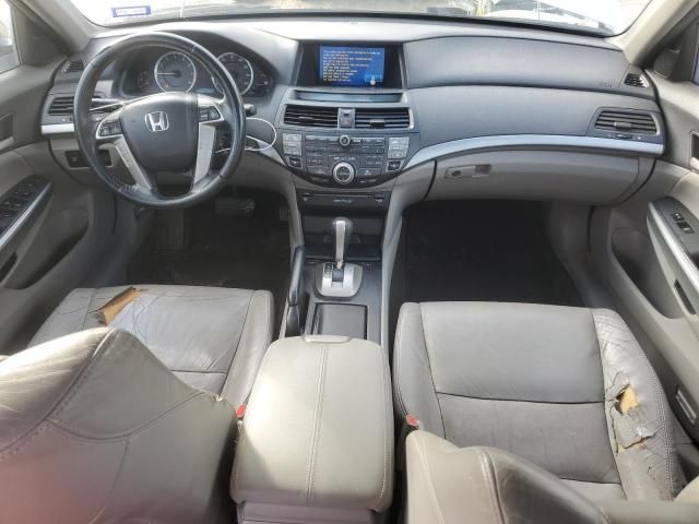 2010 Honda Accord EXL