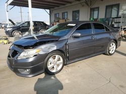 Toyota salvage cars for sale: 2010 Toyota Camry Base