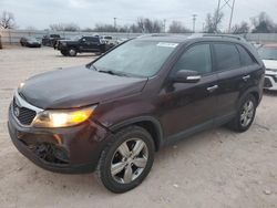 Salvage Cars with No Bids Yet For Sale at auction: 2013 KIA Sorento EX