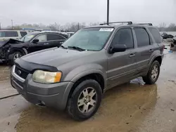 Ford Escape Vehiculos salvage en venta: 2003 Ford Escape Limited