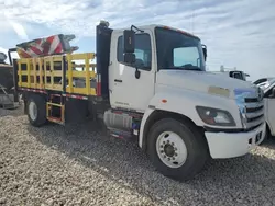 Hino 258/268 salvage cars for sale: 2019 Hino 258 268