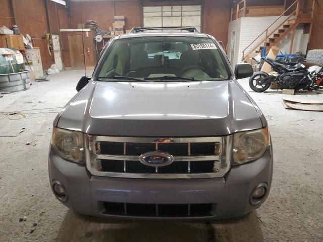 2008 Ford Escape XLT