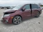 2020 Honda Odyssey Elite