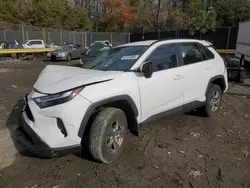 2024 Toyota Rav4 XLE en venta en Waldorf, MD