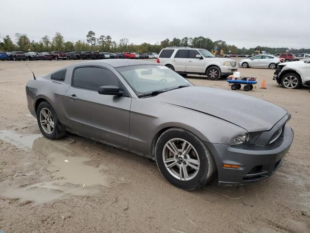 2014 Ford Mustang