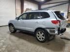 2008 Hyundai Santa FE SE