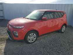 Salvage cars for sale at Riverview, FL auction: 2020 KIA Soul LX