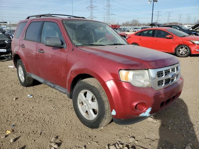 2009 Ford Escape XLT