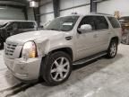 2007 Cadillac Escalade Luxury