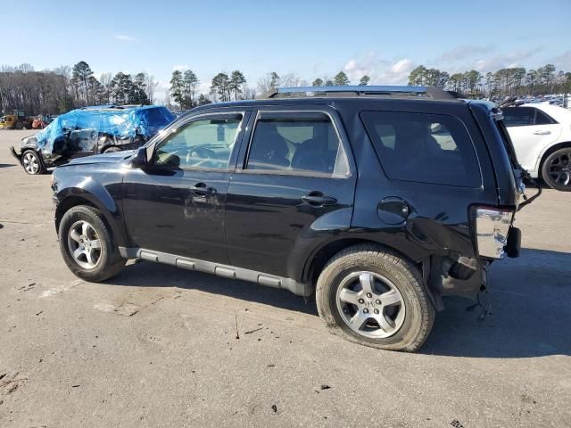 2009 Ford Escape Limited