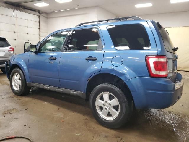 2009 Ford Escape XLT