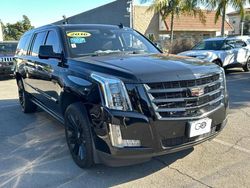 Cadillac Vehiculos salvage en venta: 2016 Cadillac Escalade ESV Premium