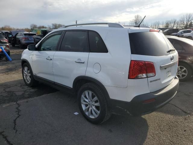 2011 KIA Sorento Base