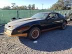 1983 Pontiac Firebird Trans AM