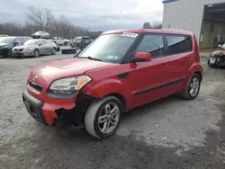 Vehiculos salvage en venta de Copart Albany, NY: 2011 KIA Soul +