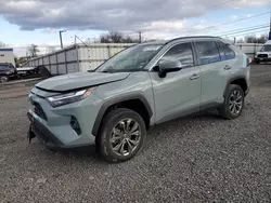 2022 Toyota Rav4 XLE Premium en venta en Hillsborough, NJ