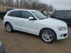 2014 Audi Q5 TDI Premium Plus