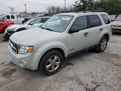 Salvage cars for sale at Lexington, KY auction: 2008 Ford Escape XLT