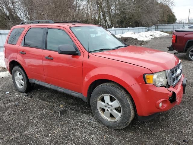 2009 Ford Escape XLT