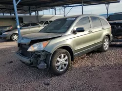 Salvage cars for sale at Phoenix, AZ auction: 2008 Honda CR-V EXL