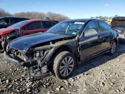 Salvage cars for sale at Windsor, NJ auction: 2011 Honda Accord EXL