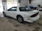 1998 Pontiac Firebird