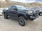 2023 Toyota Tacoma Access Cab