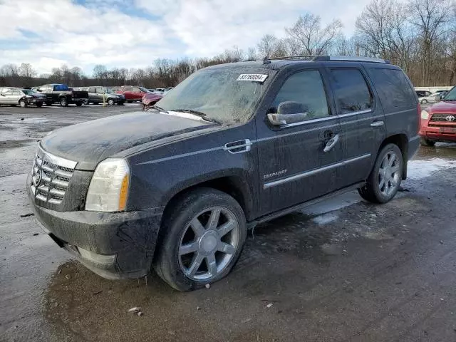 2011 Cadillac Escalade Premium