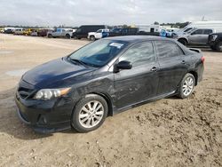 Salvage cars for sale at auction: 2010 Toyota Corolla Base