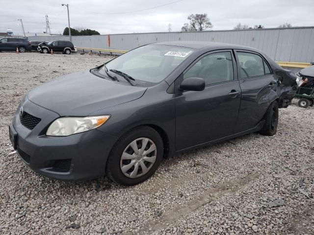 2010 Toyota Corolla Base