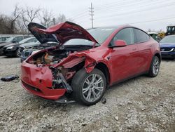 Tesla Vehiculos salvage en venta: 2023 Tesla Model Y