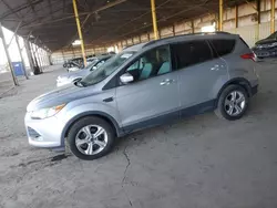 Salvage cars for sale at Phoenix, AZ auction: 2015 Ford Escape SE