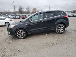 Salvage cars for sale at Lawrenceburg, KY auction: 2016 Ford Escape Titanium