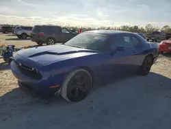 Dodge salvage cars for sale: 2019 Dodge Challenger SXT