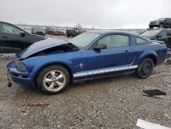 Salvage cars for sale at Earlington, KY auction: 2007 Ford Mustang